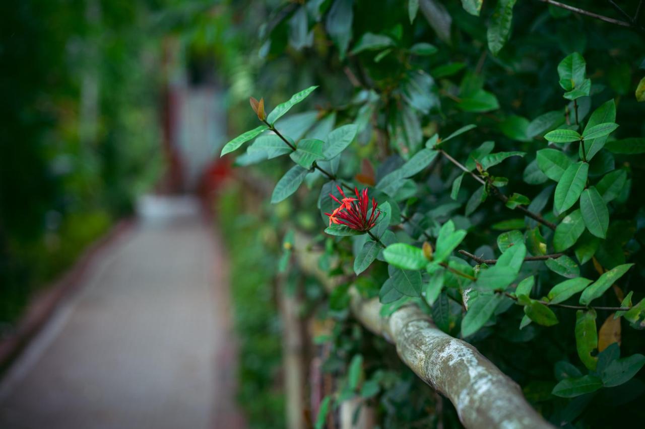 Palm Grove Eco Resort Port Blair Exterior photo