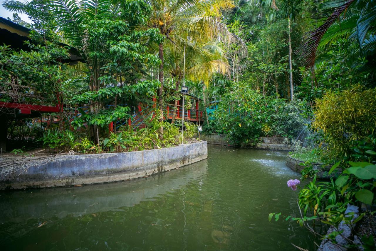 Palm Grove Eco Resort Port Blair Exterior photo